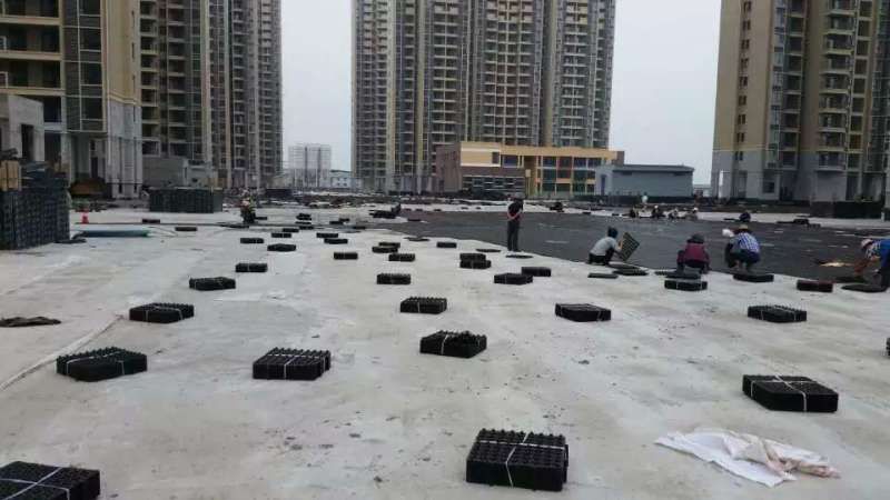 屋顶花台蜜桃视频COM.WWW哪个好?